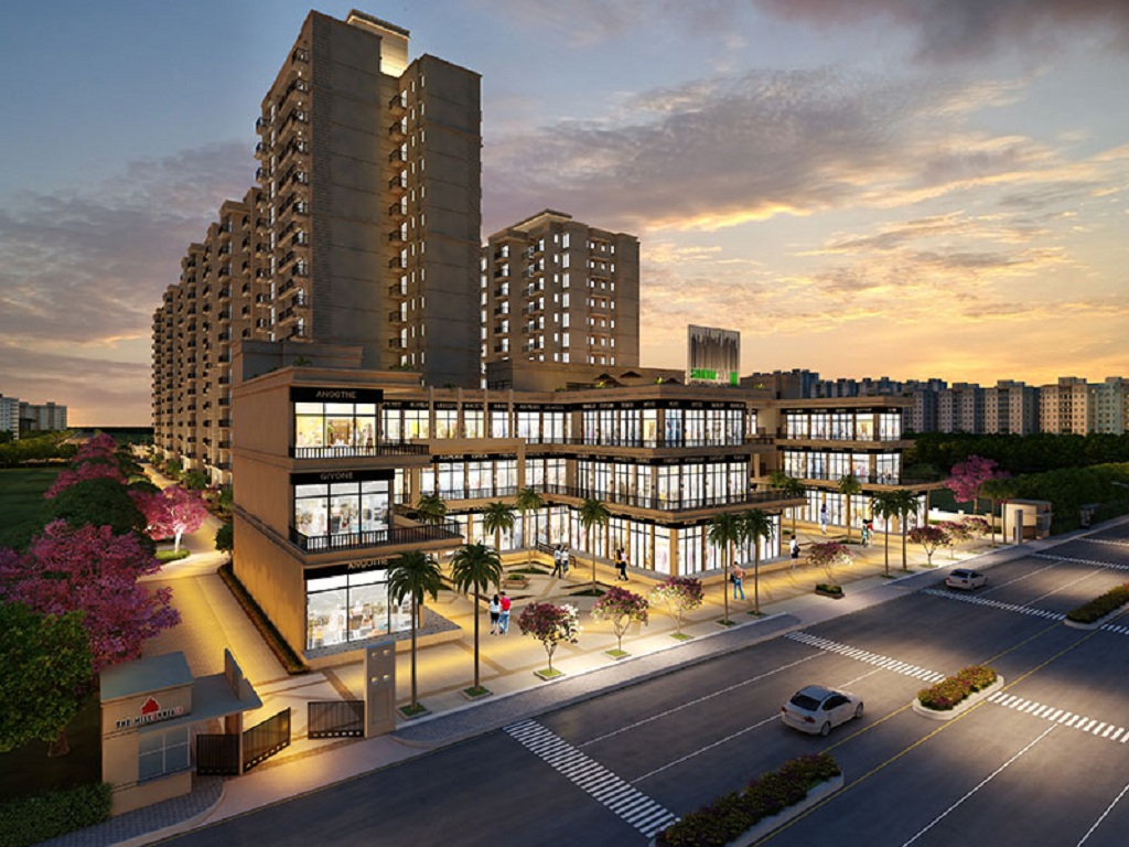 Signature The Millennia 3