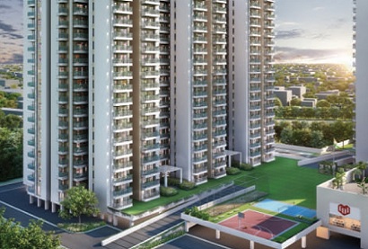 GLS Avenue 81