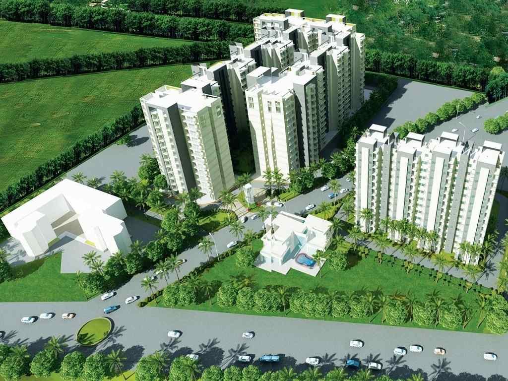 GLS Avenue 51