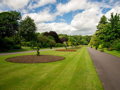 GREEN AREA